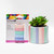 jhblaa2u916llctbbrku72vv5g-14472_X-Press_Deco_Tape_Paper_Pastels_Assorted_5pc_4.jpg