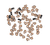foaka1h9cp0spbkscsgppdp62l-13408_Bertie®_Fish_Beads_Brown_200pc_Front_1.png