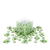 isg64t1ikh2mh5nhgsns4do956-13150_Mandala_Art_Glass_Mosaic_Pebbles_Green_Lantern_1kg_1.png