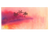 2ak2lor9p90a74pd01bmor0p1m-14620-14621-14622-bertie-stack-and-seal-watercolour-artwork-palm-trees-1.png