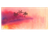 2ak2lor9p90a74pd01bmor0p1m-14620-14621-14622-bertie-stack-and-seal-watercolour-artwork-palm-trees-1.png