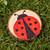im71snoetl6vla5gnciapje745-14632-Natural-Wood-Slices-Medium-6-8cm-250g-SuppIm-lifestyle-ladybug-drawing.jpeg