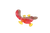 s57bu3jibd5t14ona4ri3g822k-14618-Bertie-colour-diffusing-australian-animals-lifestyle-platapus-red-brown-yellow-1.png