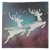5fg7nobusp3vfabr6lpjg5dj35-15009-15007-Ombre-Glitter-Card-Asst-A4-250gsm-24sht-1-web.png