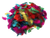 3psh521n6918535ou4u5kjut2d-15146-Bertie-Guinea-Fowl-Feathers-Assorted-Colours-25g-3-web.png