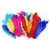b9iqn3gfq94of1o2331ipqfq34-15149-Bertie-Quill-Feathers-Assorted-Colours-60g-3-Edited-web.png