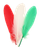 tjv1p5flqd22v66a3nt5t5rh7v-15150-Bertie-Quill-Feathers-Christmas-Colours-30g-2-web.png
