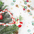 g9tp38k1bt123ea5fq3fl19h7e-15212-Metallic-Star-Beads-Christmas-Colours-60pc-Ribtex-4-Web.jpg