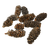 cv94ic6vvd4g13rairpmpu6l4h-15231-Natural-Dried-Banksia-Pods-5-12cm-15pc-Stringybark--Web.png