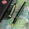 Aurora Ipsilon Green Fountain Pen Medium Nib B11-V-M