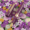 Esterbrook Model J Blackberry Ebonite Fountain Pen Medium EBJBB-M