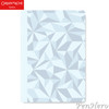 Caran d'Ache Alpine Frost Notebook, A5 - Special Edition