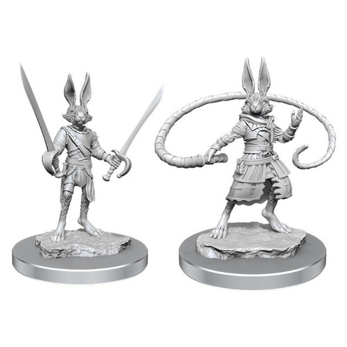 Dungeons and Dragons Nolzur's Marvelous Miniatures Harengon Rogues