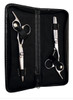 HairArt Academy Shears - Stainless Steel Shear Set with Case 6"