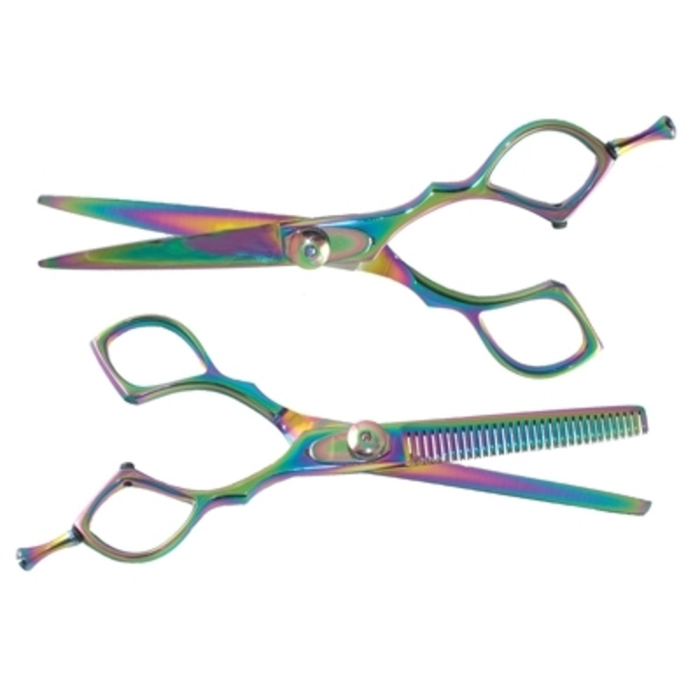 Ninja Swordsman 6 1/4