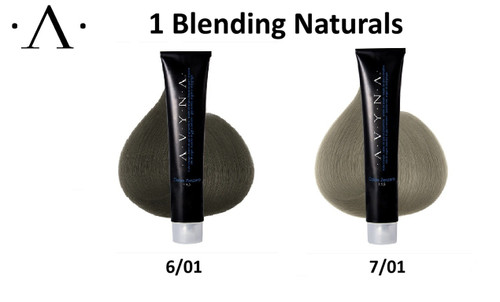 Avyna Colore Zenzero  Blending Naturals  Series 3.38oz