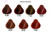 Hidracolor Cream Hair Colors 3.04 oz (HIDRA-COLOR)