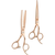 Product Club Rose Gold Shear Right-Handed Set 6"