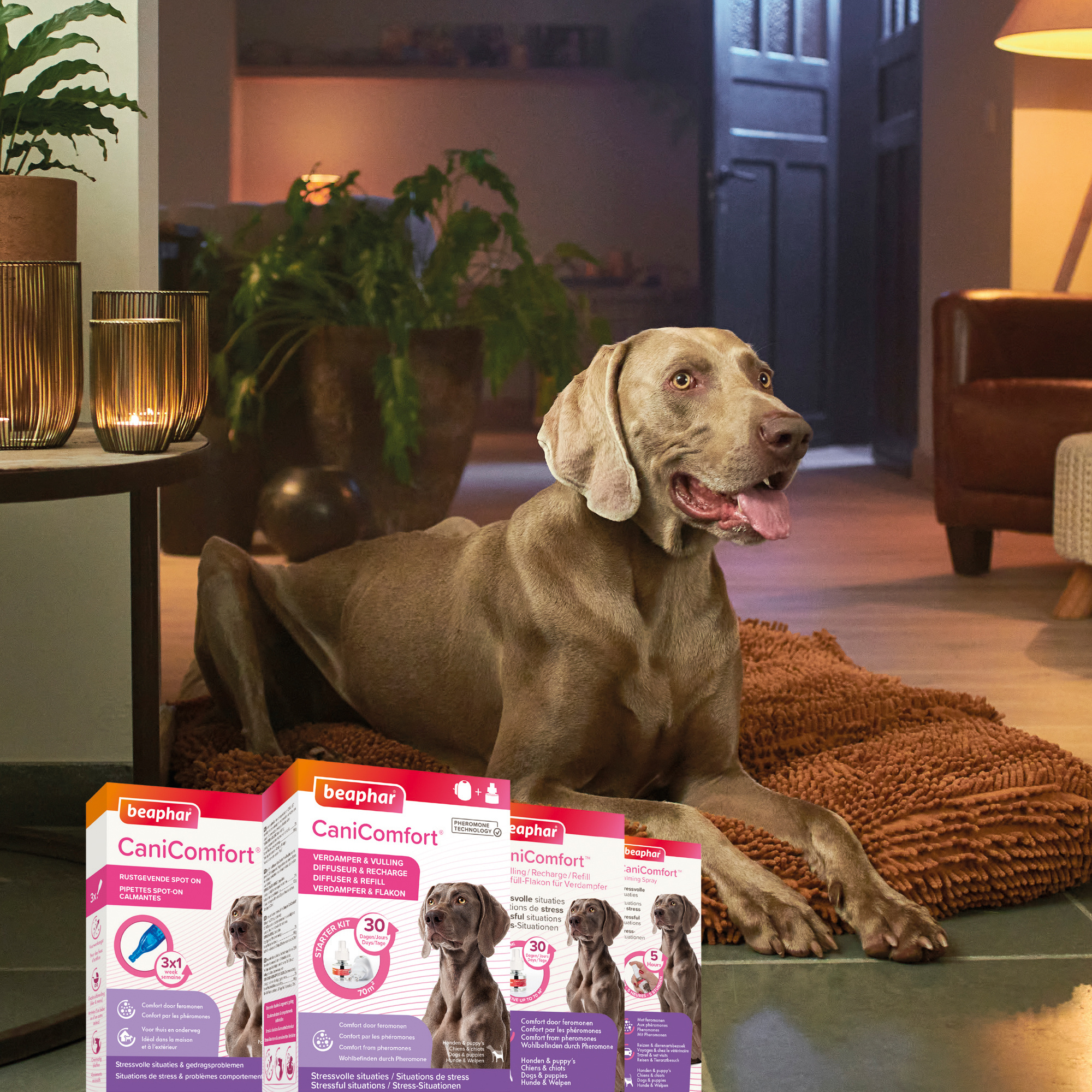 Click to view product details and reviews for Beaphar Canicomfort Calming Diffuser Refill For Dogs 45ml. Click to view product details and reviews for Beaphar Canicomfort Calming Diffuser Refill For Dogs 45ml.