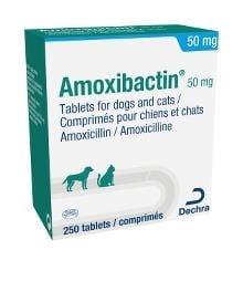 Click to view product details and reviews for Amoxibactin 50mg Tablets For Dogs And Cats Single Tablet. Click to view product details and reviews for Amoxibactin 50mg Tablets For Dogs And Cats Single Tablet.