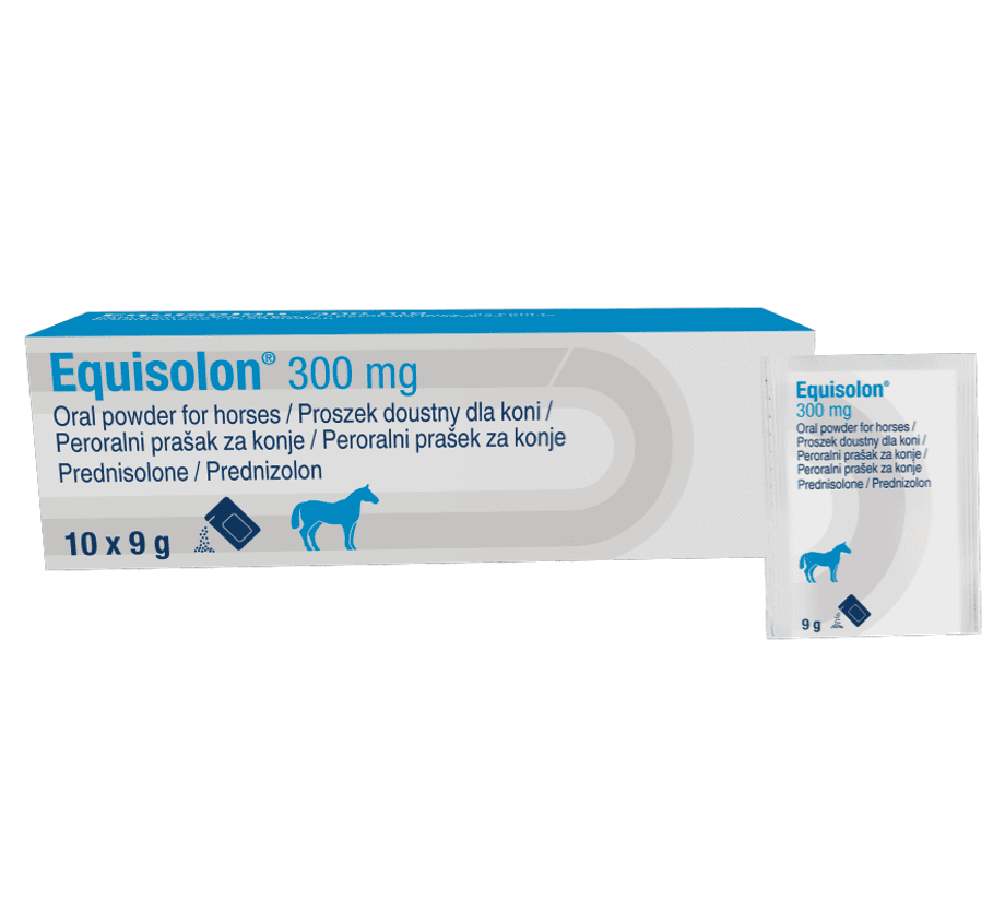 Click to view product details and reviews for Equisolon 300mg Oral Powder For Horses 10 X 9g Sachets.