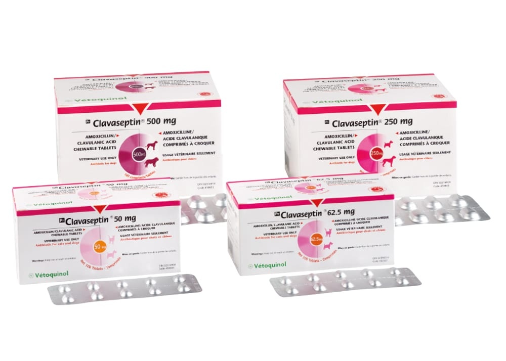 Click to view product details and reviews for Clavaseptin Palatable Tablets For Dogs And Cats.