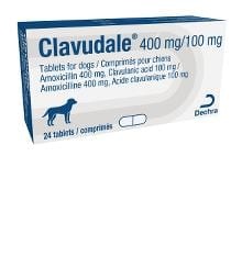 Click to view product details and reviews for Clavudale Tablets For Dogs. Click to view product details and reviews for Clavudale Tablets For Dogs.