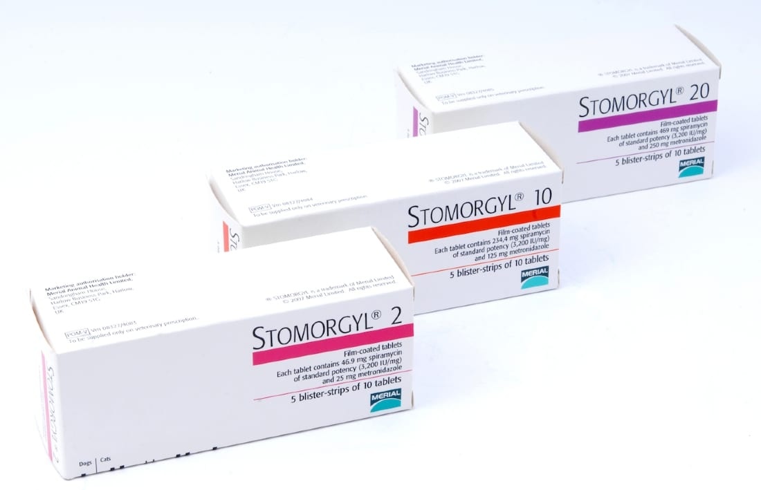Click to view product details and reviews for Stomorgyl Tablets For Dogs And Cats. Click to view product details and reviews for Stomorgyl Tablets For Dogs And Cats.