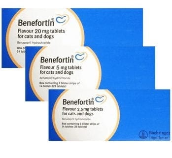 Click to view product details and reviews for Benefortin Flavour Tablets For Dogs And Cats. Click to view product details and reviews for Benefortin Flavour Tablets For Dogs And Cats.
