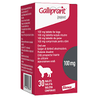 Galliprant Tablets for Dogs