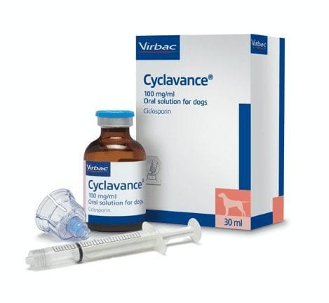 Cyclavance 100mg/ml Oral Solution for Dogs and Cats