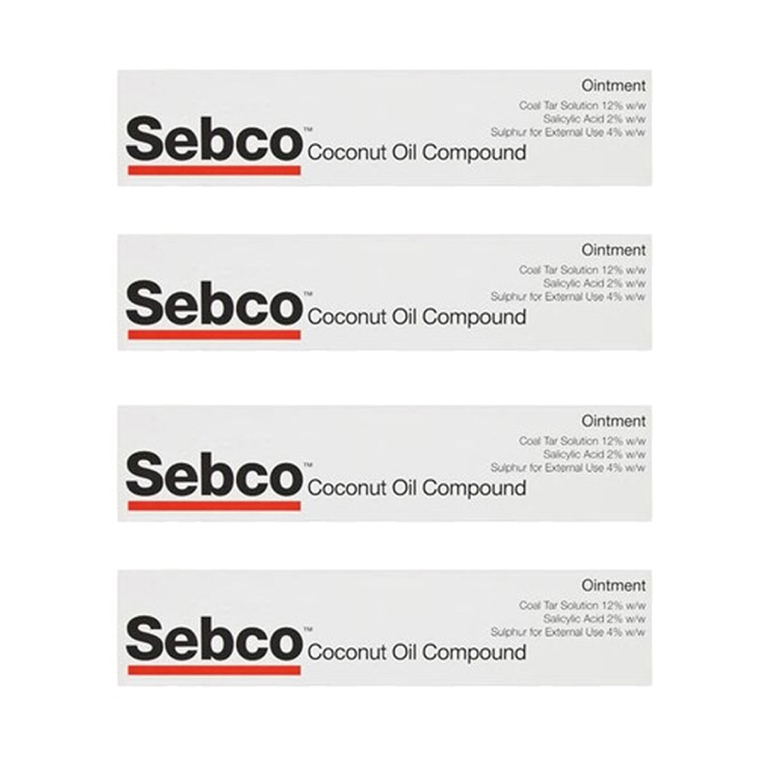 Sebco Ointment 100g