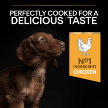 Purina Pro Plan Small & Mini Puppy Healthy Start Chicken Dry Dog Food 7kg
