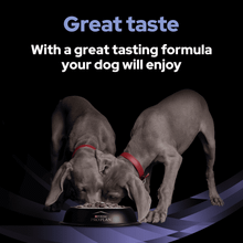 Purina Pro Plan Canine FF FortiFlora Sachet 30x1g