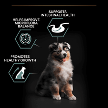 Purina Pro Plan Medium Puppy Sensitive Digestion Rich in Lamb Dry Dog Food 12kg
