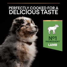 Purina Pro Plan Medium Puppy Sensitive Digestion Rich in Lamb Dry Dog Food 12kg