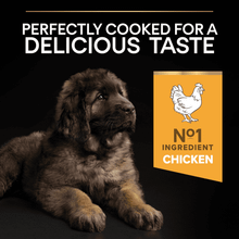 PRO PLAN Large Robust Puppy Healthy Start Chicken Dry Dog Food 12kg