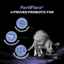 Purina Pro Plan Feline FF Fortiflora Sachet 30x1g