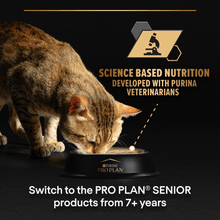 Purina Pro Plan Delicate Digestion Fish and Turkey in Gravy Wet Cat Food 40x85g
