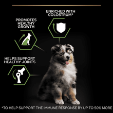 Purina Pro Plan Medium Puppy Healthy Start Rich in Chicken Dry Dog Food 12kg