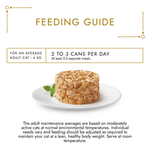 Gourmet Gold Savoury Cake Meat and Fish Variety Wet Cat Food 8x85g