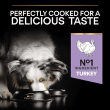 Purina Pro Plan Large Adult Sensitive Digestion GF Turkey Dry Dog Food 12kg