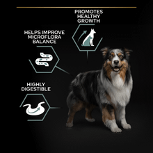 Purina Pro Plan Large Adult Sensitive Digestion GF Turkey Dry Dog Food 12kg