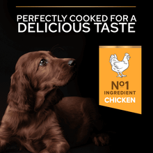 Purina Pro Plan Large Athletic Puppy Starter Chicken Dry Dog Food 12kg