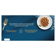 Gourmet Perle Senior 7+ Mini Fillets in Gravy Wet Cat Food 60x85g