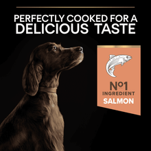 Purina Pro Plan Large Athletic Sensitive Skin Salmon Dry Dog Food 14kg