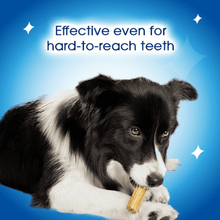 Dentalife Large Adult Daily Oral Care Dog Chews 36pk