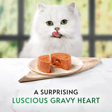 Gourmet Nature's Creations Mousse Chicken and Fish in Gravy Wet Cat Food 8x85g