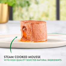 Gourmet Nature's Creations Mousse Chicken and Fish in Gravy Wet Cat Food 8x85g