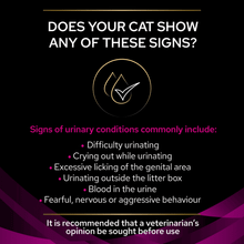 Pro Plan Veterinary Diets UR Urinary Salmon Wet Cat Food 10 x 85g